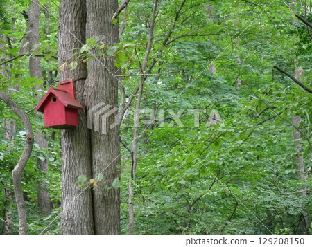 A red birdhouse installed in the forest A red birdhouse installed in the forest 129208150