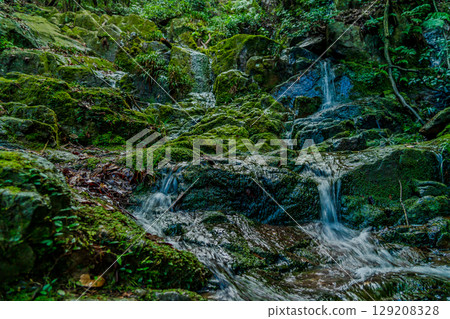 Waterfall flowing in the fresh green 129208328
