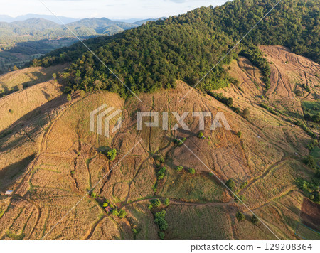 The biggest cause of forest loss is agricultural deforestation ,environmental damage in Southeast Asia , global warming and environment. 129208364