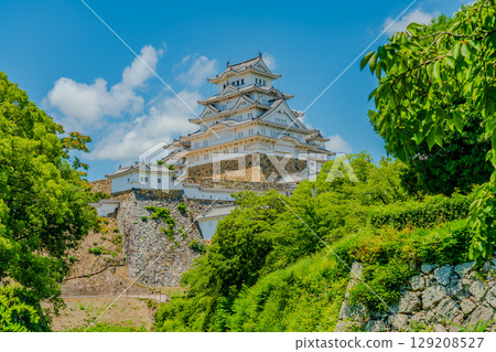 美麗的姬路城被新鮮的綠色植物環繞 129208527