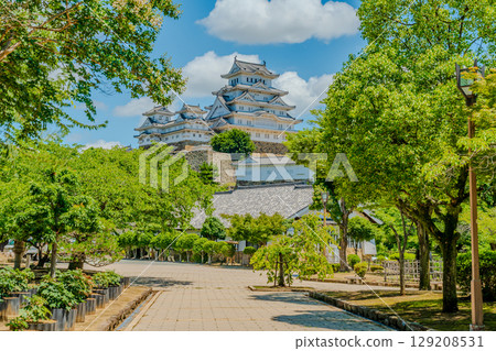 姬路城周圍環繞著新鮮的綠樹 129208531