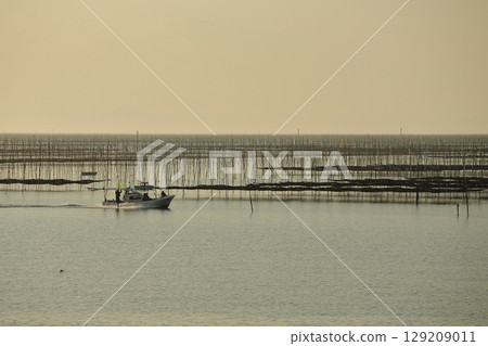 Omuta City Ariake Sea Nori field, 129209011