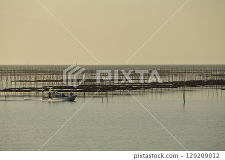 大牟田市有明海紫菜場， 129209012