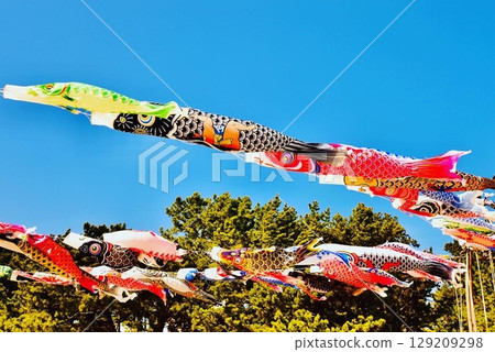 Carp climbing along the coast 2 Carp climbing along the coast 2 129209298
