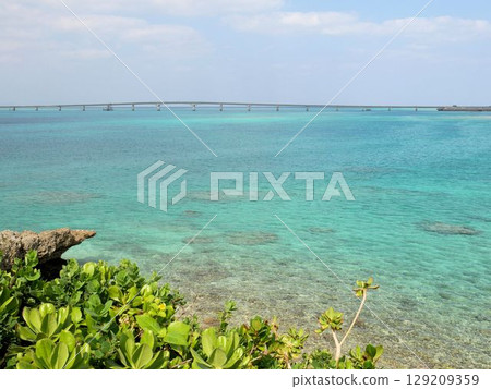 Ikema Bridge and the emerald green sea (Miyakojima, Okinawa Prefecture) 129209359