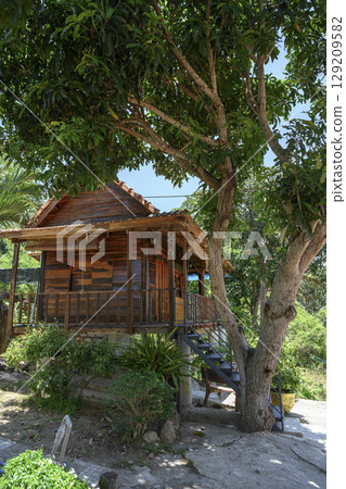Wooden house under a tropical tree in Buddhist Hua Da Bao Monastery in Nha Trang, Vietnam 129209582