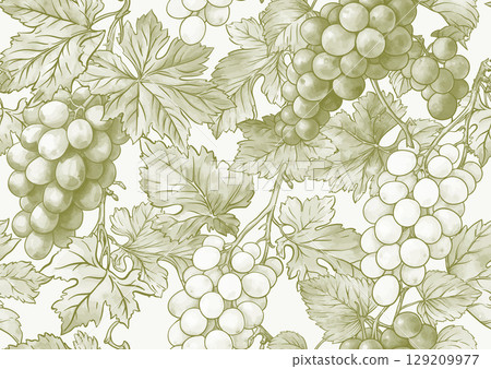 Seamless vector pattern with ripe grape 129209977