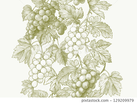 Seamless vector pattern with ripe grape 129209979