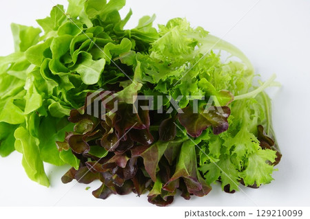 新鮮的生菜 129210099