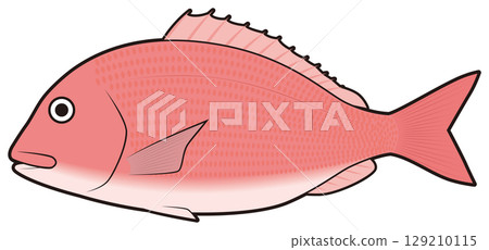 紅鯛魚 紅鯛魚 129210115