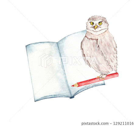 Wise owl with pencil on open book for educational concepts and learning designs. End of course. Back to school. Watercolor illustration for certificate, diploma, invitation, card. Copy space. Isolated 129211016