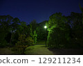 Park and street lights at night 129211234