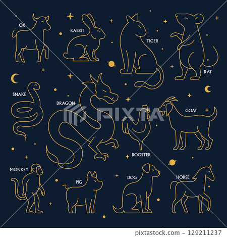 Chinese Zodiac Constellation Animals in Gold Line Art on Night Sky Background Chinese Zodiac Constellation Animals in Gold Line Art on Night Sky Background 129211237