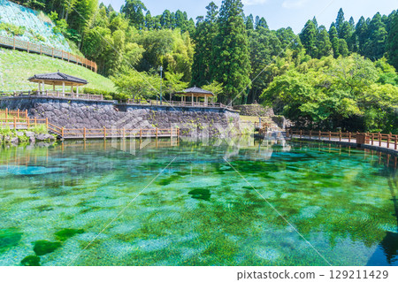 The crystal clear spring water of Maruike Spring, a famous spring at the foot of Mount Kirishima 129211429