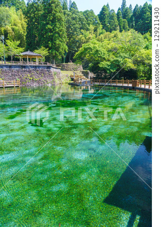 The crystal clear spring water of Maruike Spring, a famous spring at the foot of Mount Kirishima The crystal clear spring water of Maruike Spring, a famous spring at the foot of Mount Kirishima 129211430
