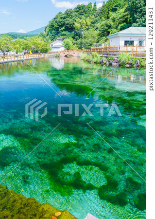The crystal clear spring water of Maruike Spring, a famous spring at the foot of Mount Kirishima 129211431