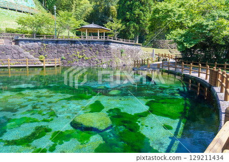 At the foot of Kirishima mountain spring water spring spring 129211434