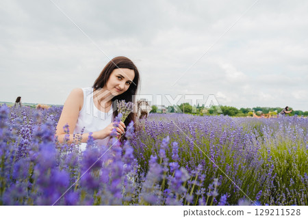 A young woman in a white dress has sat down in the middle of a lavender field A young woman in a white dress has sat down in the middle of a lavender field 129211528