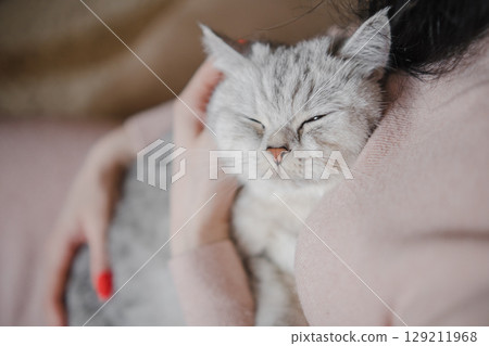 The woman is stroking the short-haired cat's head The woman is stroking the short-haired cat's head 129211968