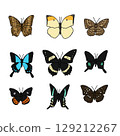 Butterfly  129212267