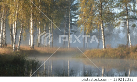 Mist envelops tranquil lake beside autumn birch forest. Soft morning light enhances serene ambiance and reflections. Trees and foliage form peaceful natural scene. Neural network AI generated 129212382