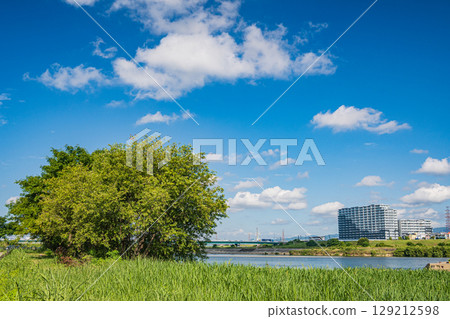 大阪府枚方市淀川流域自然公園淀川的夏日風景 129212598