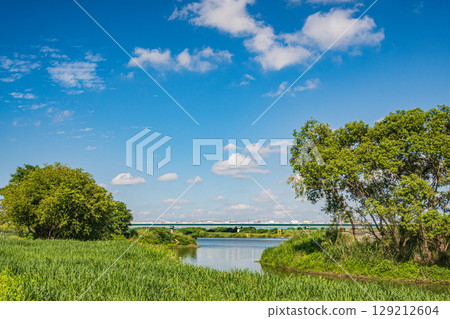 Summer scenery of the Yodo River, Yodo River Basin Natural Park, Multi-natural Pond, Hirakata City, Osaka Prefecture 129212604
