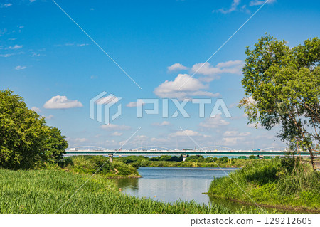 大阪府枚方市淀川流域自然公園多天然池淀川夏日風景 129212605