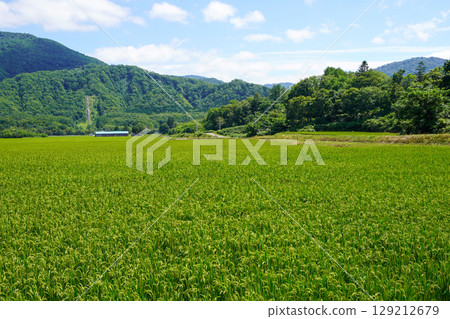 Rice field scenery deep in the mountains of Shintotsukawa Town Rice field scenery deep in the mountains of Shintotsukawa Town 129212679
