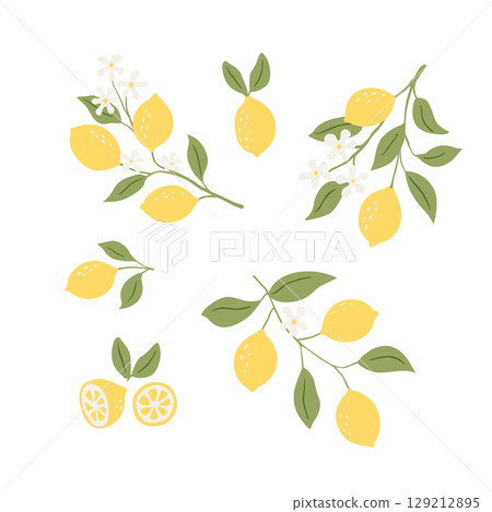 Illustrations of lemons. Hand painted ripe lemon branches with green leaves 129212895