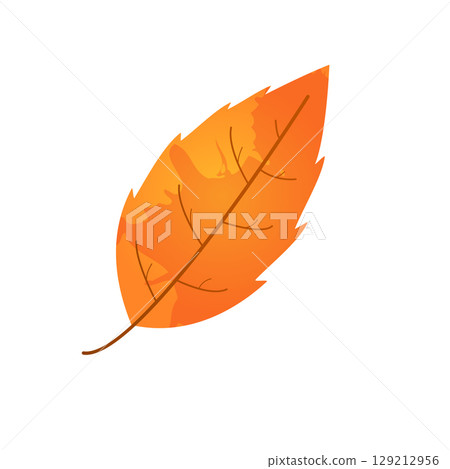 Withered autumn motley leaf. Fallen leaf with blot texture 129212956