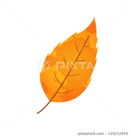 Withered autumn motley leaf. Fallen leaf with blot texture. 129212959