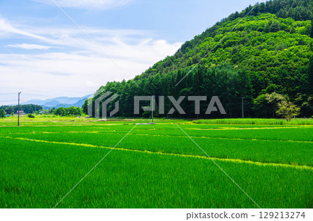 Summer rural scenery around Lake Kizaki, Omachi City Summer rural scenery around Lake Kizaki, Omachi City 129213274