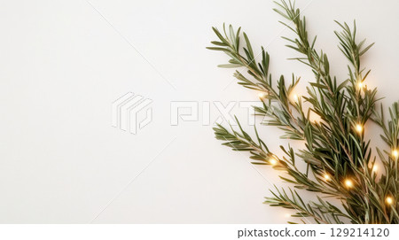 Minimalist christmas decoration with evergreen branch and warm led string lights on white background, AI Generative 129214120