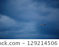 A passenger plane approaches Pula Airport for landing 129214506