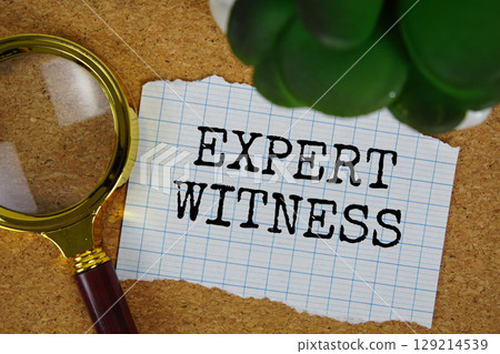 Expert Witness text written on paper with magnifying glass Expert Witness text written on paper with magnifying glass 129214539