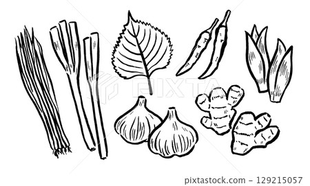Brush paintings of condiments and aromatic vegetables Brush paintings of condiments and aromatic vegetables 129215057
