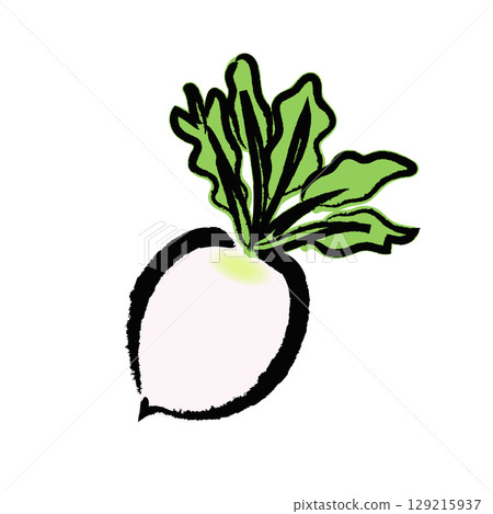 Shogoin radish icons, logos, and illustrations drawn with a brush 129215937
