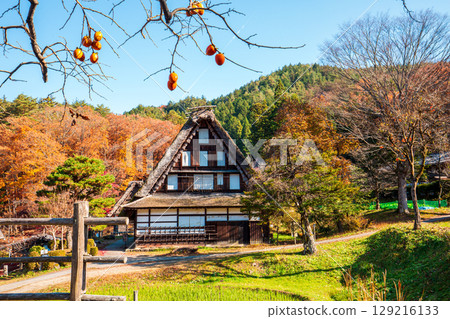 Autumn persimmons and the Gassho-style houses of Shirakawa-go Autumn persimmons and the Gassho-style houses of Shirakawa-go 129216133