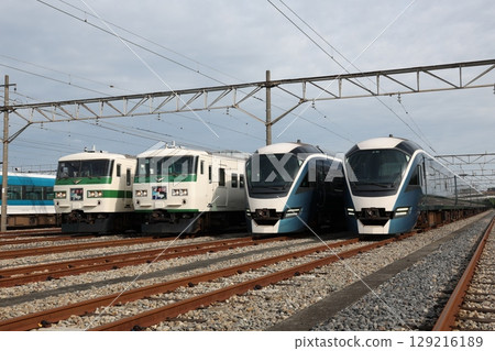 185 series, E261 series train 129216189