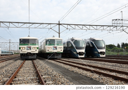 185系、E261系列車 129216190