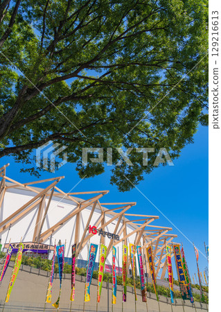 The opening sumo tournament at the IG Arena in summer, Nagoya Tournament (Nagoya City, Aichi Prefecture) 129216613