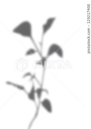 Black and White abstract background texture of shadows leaf on a white wall. Black and White abstract background texture of shadows leaf on a white wall. 129217408