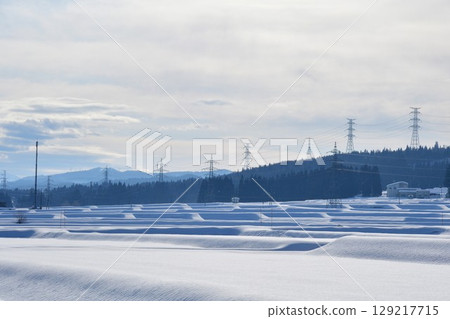 冬季鄉村風景(新潟縣) 冬季鄉村風景(新潟縣) 129217715