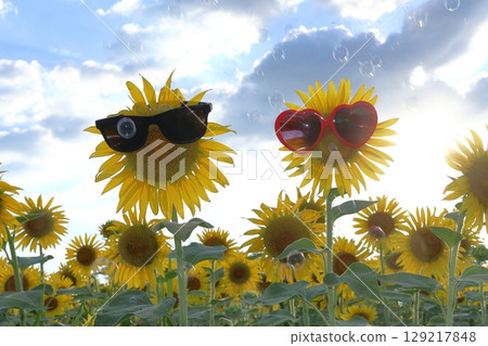 sunflower	 129217848