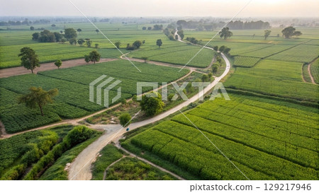 aerial view of rice fields and countryside aerial view of rice fields and countryside 129217946
