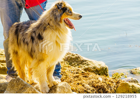Person walks with dog outdoors 129218955