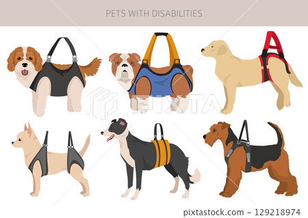 Disabled dog clipart. Dogs in a sling bag 129218974