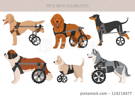 Disabled dog clipart. Dogs in a wheelchair 129218977