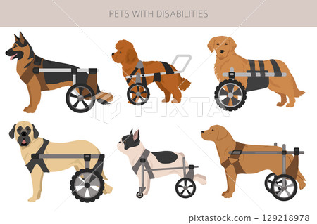 Disabled dog clipart. Dogs in a wheelchair 129218978